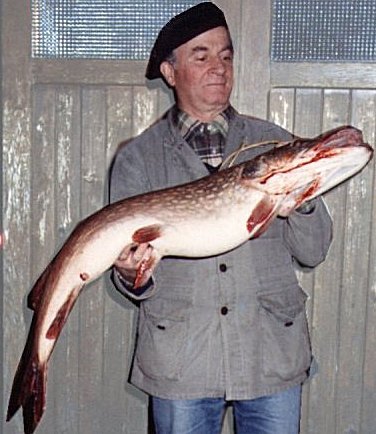 brochet.jpg (43649 octets)
